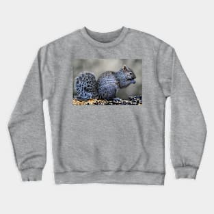 Squirrel ~ after the rain Crewneck Sweatshirt